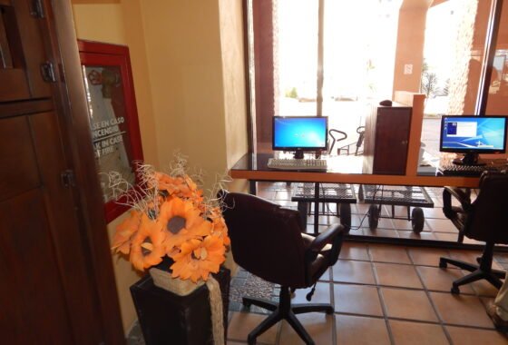 Pinacate resort business center