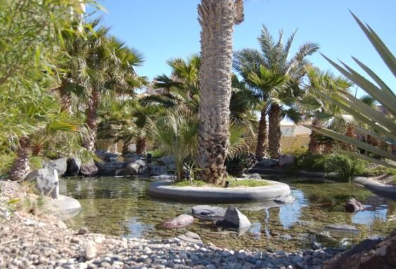 Real Estate sales by Expert Realty Rocky Point